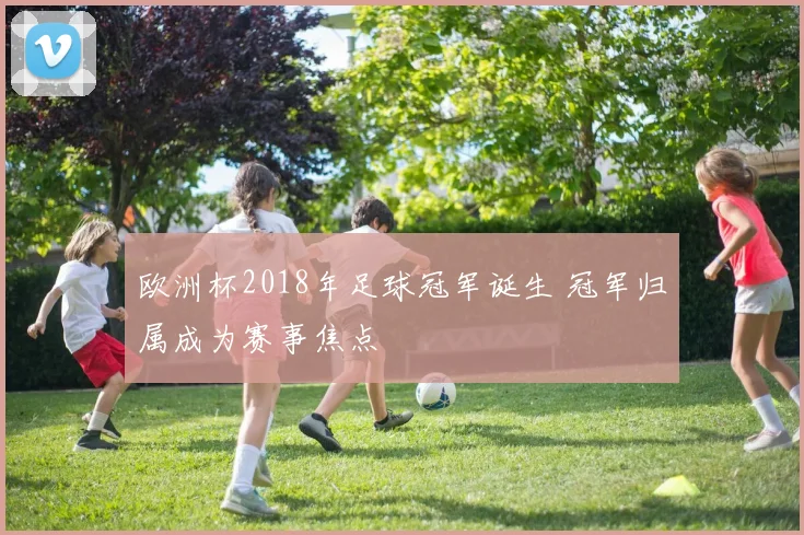 欧洲杯2018年足球冠军诞生 冠军归属成为赛事焦点